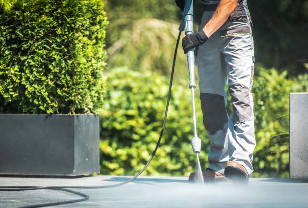Best Animal Enclosure Cleaning  in Manchester, KY