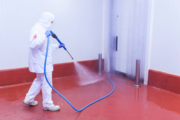 Best Spring Cleaning  in Manchester, KY